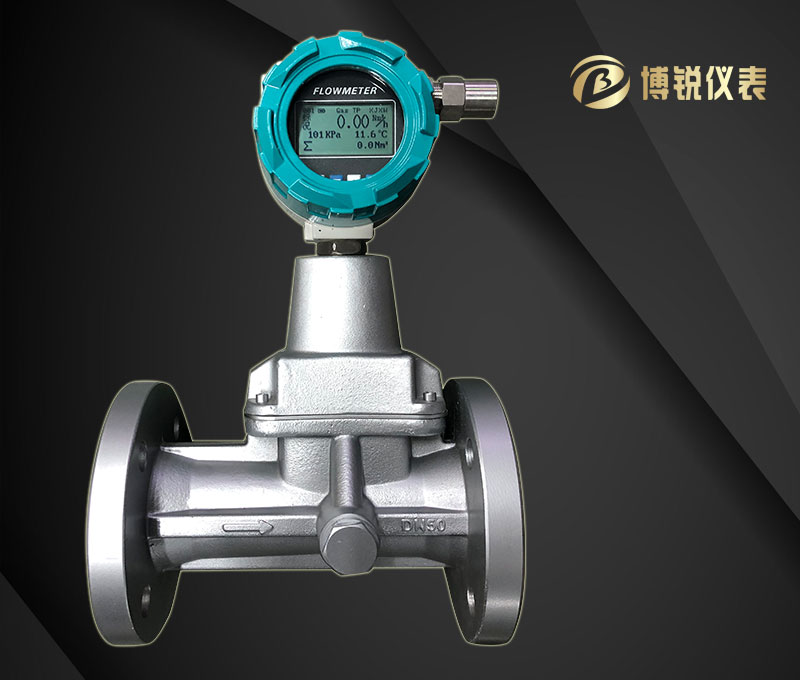 旋进漩涡流量计