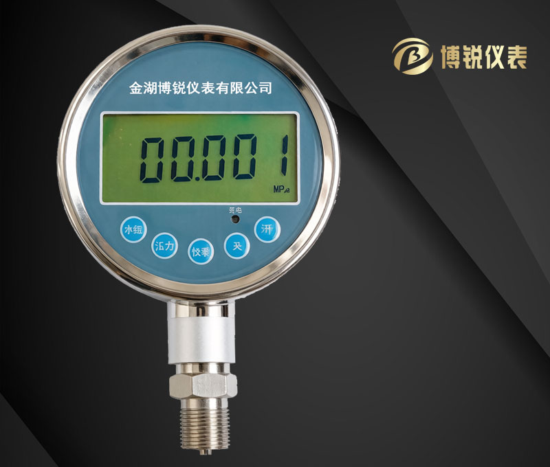 精密数字压力表